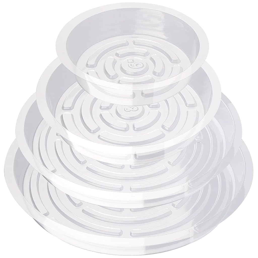 HASTHIP Multipack Plant Pot Saucers-12psc Durable Plastic Trays in 4 Sizes (6''/8''/10''/12''), With Grooved Bottoms For Efficient Drainage, UV-Resistant Indoor & Outdoor Round Plate Set HASTHIP Multipack Plant Pot Saucers-12psc Durable Plastic Trays in 4 Sizes (6''/8''/10''/12''), With Grooved Bottoms For Efficient Drainage, UV-Resistant Indoor & Outdoor Round Plate Set